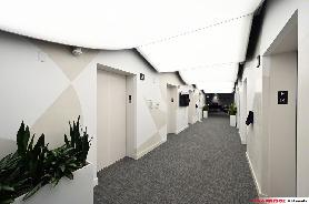 NorthEastern University