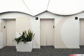 NorthEastern University