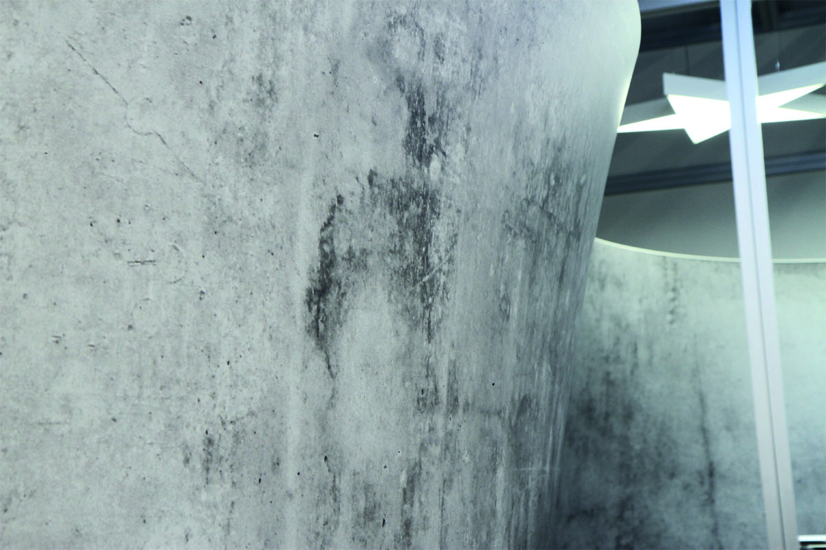 Concrete Effect ref BEB01 - Architecte : Michel Noir